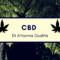 I Molteplici  Benefici  del CBD